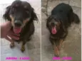 Jurema e Nina