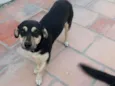 Carlos