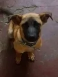 ADÃO!!!