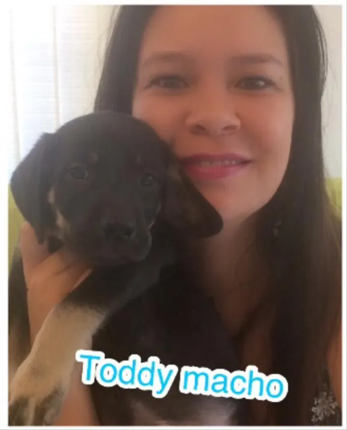 Cachorro ra a SRD idade Abaixo de 2 meses nome Filhotes