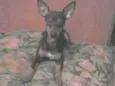 Vitória