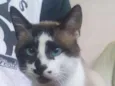 Bob
