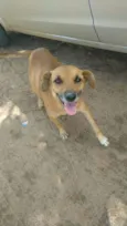 BOLOTA