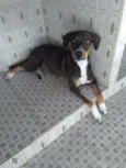 Jorge