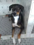 Jorge