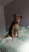 Lina