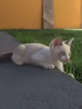 Bebê