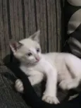 Bebê