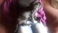 Pretinha