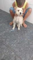 Frodo e Romeu