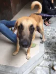 Indefinido