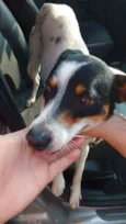 Duke