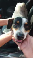 Duke