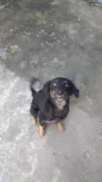 Penélope