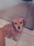 Mel
