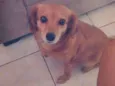 Mel