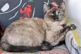 Madrecita
