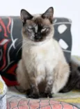 Madrecita