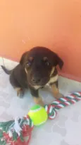 Não definido ainda