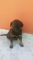 Não definido ainda