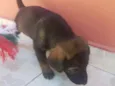 Não definido ainda