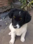 Não tem ainda