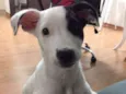 Kiara