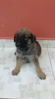 Não definido ainda
