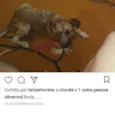 Boris