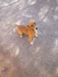 nao sei