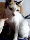 Fiona