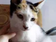 Fiona