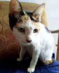 Fiona 