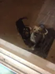 Batman e Logan