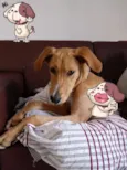 Benedita