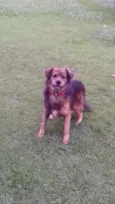 Boby