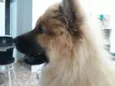 LÍLLY
