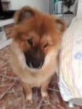 LÍLLY