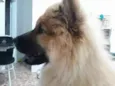 LÍLLY