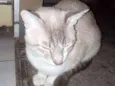 Saruman