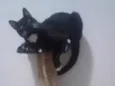 Tom
