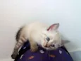 Nyna