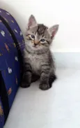 Nick