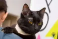 Filó