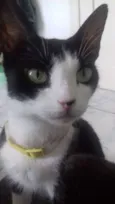 Celina