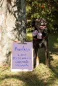 Pandora