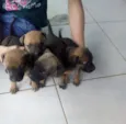 Princesa, Bel, Lili