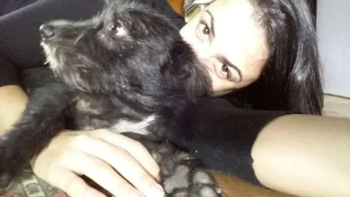 Cachorro ra a SRD idade 5 anos nome Liú