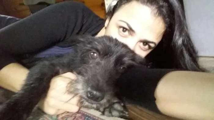 Cachorro ra a SRD idade 5 anos nome Liú