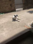Lucky